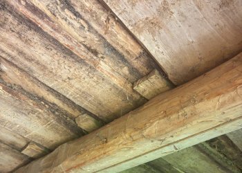 Foto 16 - Rustic Chies d'Alpago - photo 16