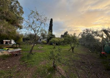 Foto 1 - Terreno agricolo Via delle Begonie
 
snc, Quartucciu - foto 1