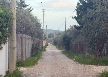 Foto 4 - Terreno agricolo Via delle Begonie
 
snc, Quartucciu - foto 4