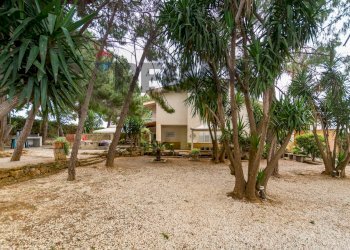 Giardino - Villa STRADA STATALE 113, Km. 248, Bagheria - photo 23
