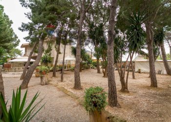 Giardino - Villa STRADA STATALE 113, Km. 248, Bagheria - photo 24