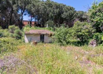 Giardino - Casa indipendente Via Terremorte
 
6, Piedimonte Etneo - foto 50