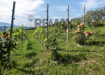 Giardino - Villa Fraz. Costa
 
125, Arcevia - foto 17