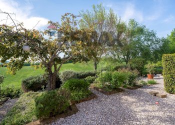 Giardino - Villa Fraz. Costa
 
125, Arcevia - foto 24