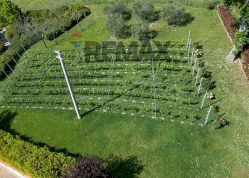 Vigna - Villa Fraz. Costa
 
125, Arcevia - foto 81