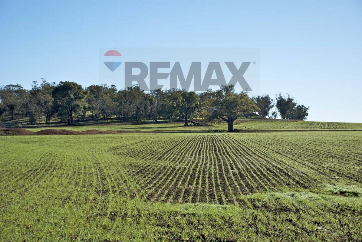 Giardino - Building land Via Xiboli
 
404, Caltanissetta - photo 1
