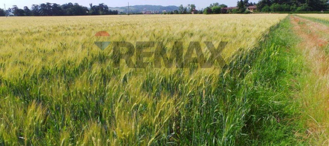 Giardino - Building land Via Xiboli
404, Caltanissetta - photo 2