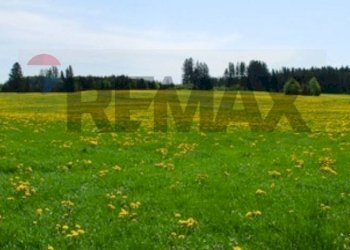 Giardino - Terreno edificabile Via Xiboli
 
404, Caltanissetta - foto 4