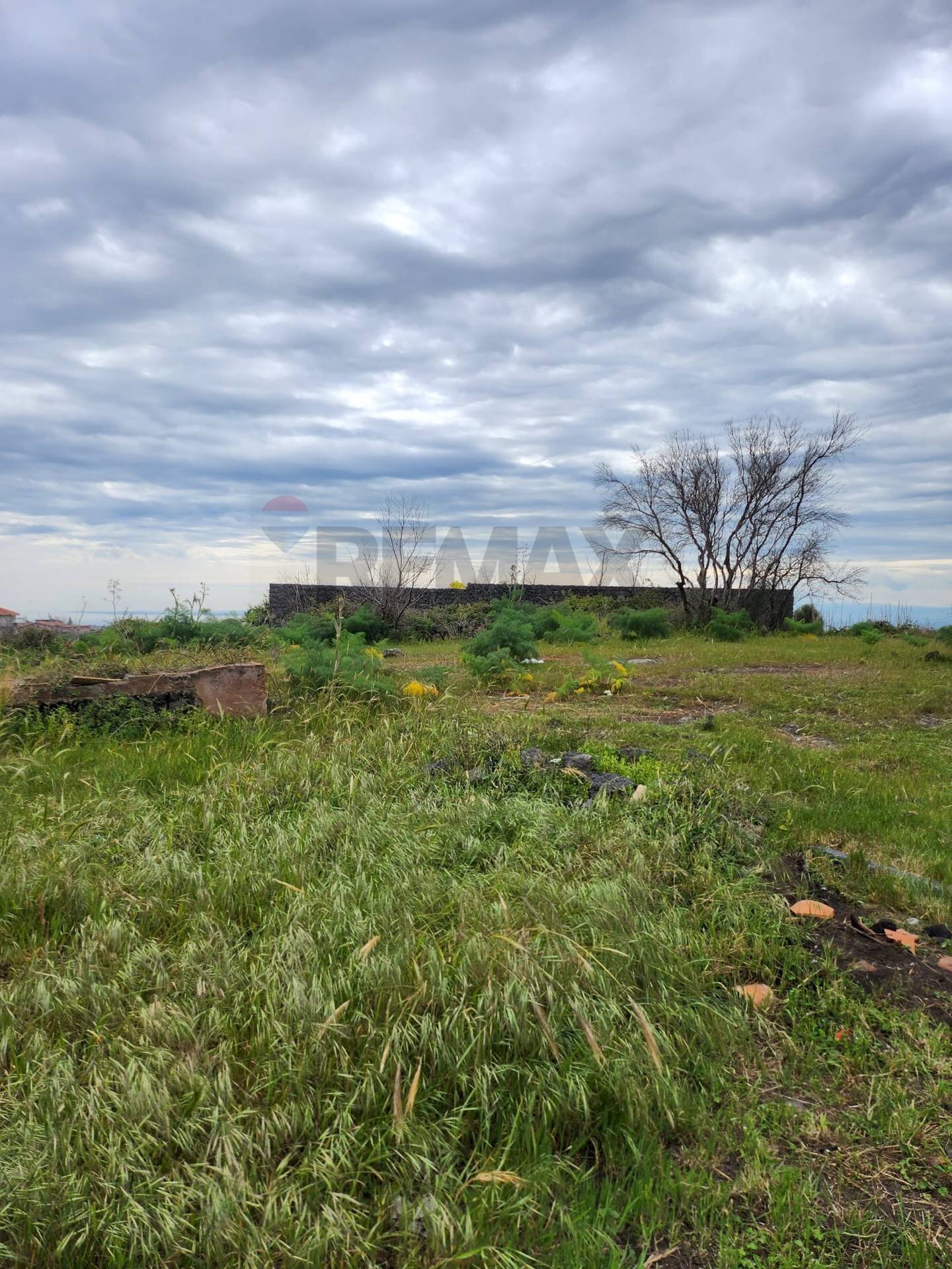 Giardino - Terreno edificabile Via Etnea
 
1, Gravina di Catania - foto 1