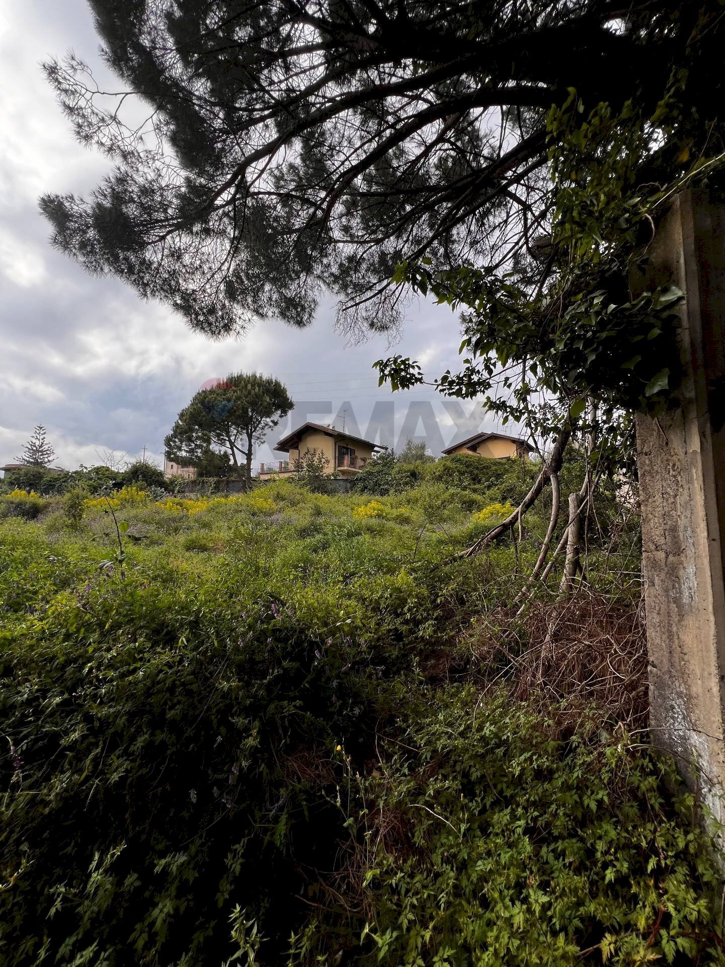Giardino - Terreno edificabile Via Calatafimi, Mascalucia - foto 1