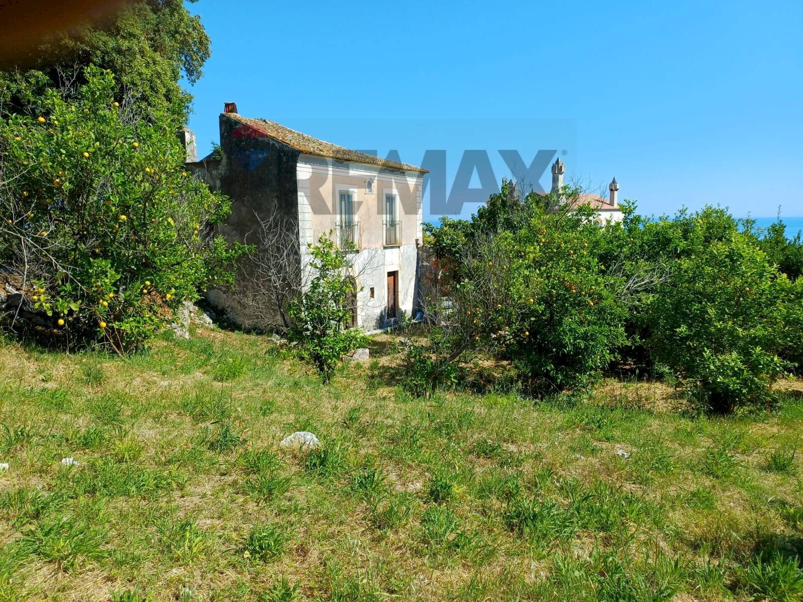 Giardino - Terreno agricolo Contrada Convento - WVFX+897
 
21, Rodi Garganico - foto 3