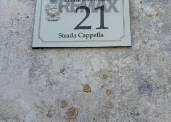 Dettagli - Agricultural land Strada Cappella - Contrada Convento
21, Rodi Garganico - photo 16