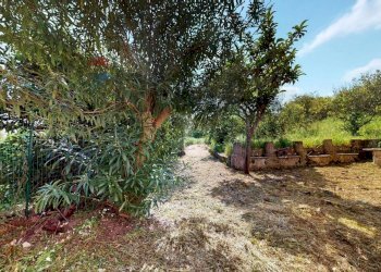Giardino - Agricultural land Strada Cappella - Contrada Convento
21, Rodi Garganico - photo 17