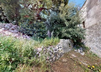 Giardino - Agricultural land Strada Cappella - Contrada Convento
21, Rodi Garganico - photo 20