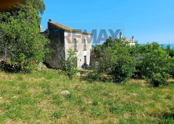 Giardino - Terreno agricolo Contrada Convento - WVFX+897
 
21, Rodi Garganico - foto 3