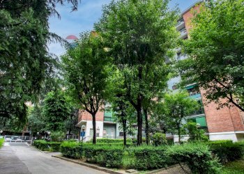 Giardino - Bilocale via Giuseppe Di Vittorio
 
32, San Donato Milanese - foto 15