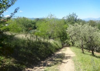Giardino - Building land Casacanditella - photo 4