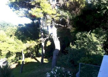 Giardino - Trilocale Ancona - foto 10