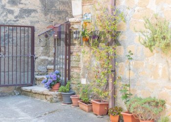Giardino - Trilocale Via Palestro
 
36, Ischia di Castro - foto 5