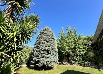 Foto 42 - Villa Via Del Casale Paoloni, Roma - foto 42