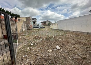 Foto 7 - Terreno edificabile VIA CIMAROSA, San Tammaro - foto 7