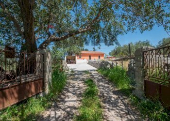 Giardino - Villa Strada Comunale Saitta Fondachello, Modica - foto 17