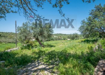 Giardino - Villa Strada Comunale Saitta Fondachello, Modica - foto 19