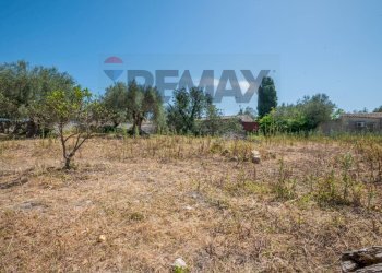 Giardino - Villa Strada Comunale Saitta Fondachello, Modica - foto 22