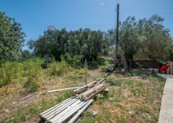 Giardino - Villa Strada Comunale Saitta Fondachello, Modica - foto 28