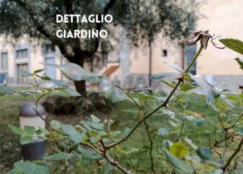 DETTAGLIO - Trilocale TERRE GIALLE, LOC. LE BUCHE 1
 
1, Castel del Piano - foto 17