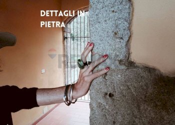 DETTAGLIO - Trilocale TERRE GIALLE, LOC. LE BUCHE 1
 
1, Castel del Piano - foto 19