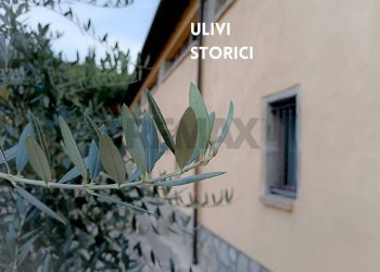 DETTAGLIO PIANTE - Trilocale TERRE GIALLE, LOC. LE BUCHE 1
 
1, Castel del Piano - foto 20