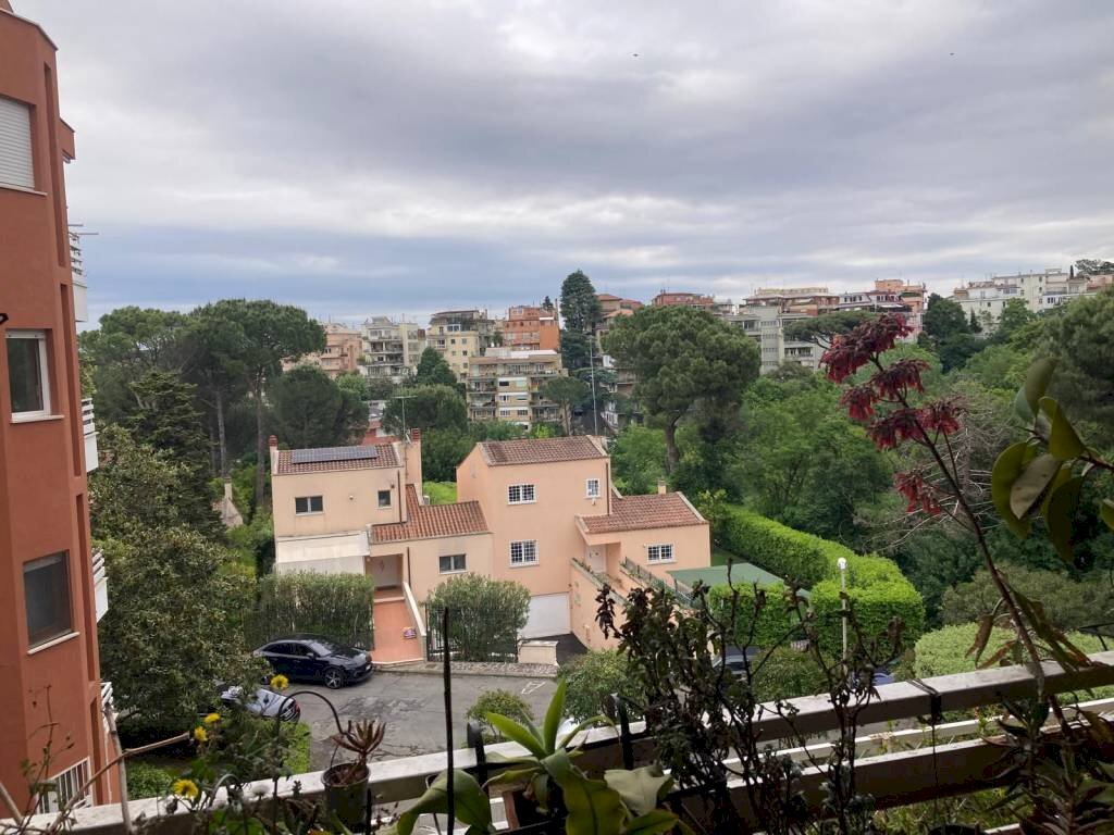 Vista - Appartamento via Pieve di Cadore, 25, Roma - foto 1