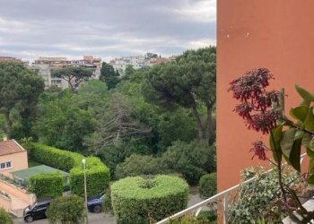Vista - Appartamento via Pieve di Cadore, 25, Roma - foto 3