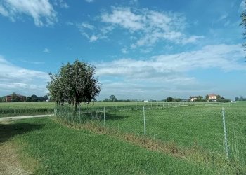 Terreno - Rustico San Giovanni in Persiceto - foto 4