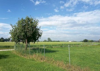 Terreno - Rustico San Giovanni in Persiceto - foto 5