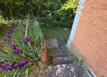 Giardino - Rustic via Malcantone, 1287, Valsamoggia (neighborhood San Damaso) - photo 6