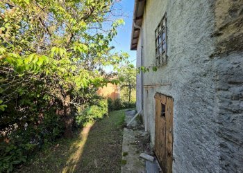 Giardino - Rustic via Malcantone, 1287, Valsamoggia (neighborhood San Damaso) - photo 7