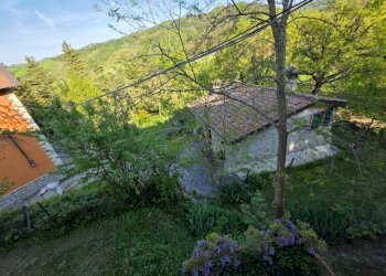 Terreno - Rustic via Malcantone, 1287, Valsamoggia (neighborhood San Damaso) - photo 18