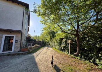 Giardino - Rustic via Malcantone, 1287, Valsamoggia (neighborhood San Damaso) - photo 28