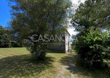 Giardino - Rustico Mosciano Sant'Angelo - foto 2