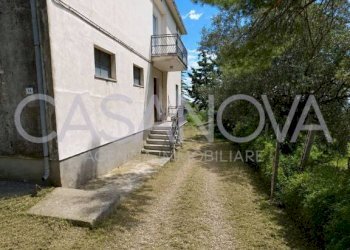 Giardino - Rustico Mosciano Sant'Angelo - foto 4
