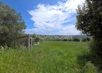 Terreno - Rustico Mosciano Sant'Angelo - foto 28