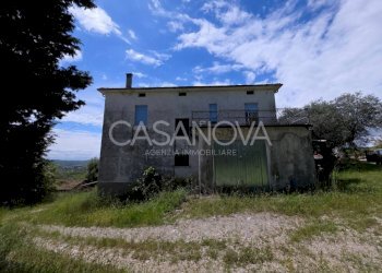 Terreno - Rustico Mosciano Sant'Angelo - foto 29