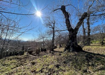 Foto 32 - Villa Via Giglioli, Roccamonfina - photo 32