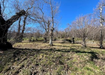 Foto 35 - Villa Via Giglioli, Roccamonfina - photo 35