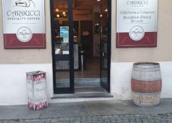 Ingresso - Bar Tavola Calda - Fredda Asti - foto 4