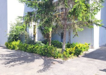 INGRESSO CONDOMINIO - Bilocale Via Umberto Lilloni
 
36, Roma - foto 2