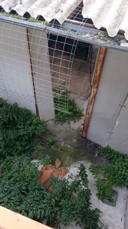 Terreno - Capannone via della Resistenza, Peschiera Borromeo - foto 3