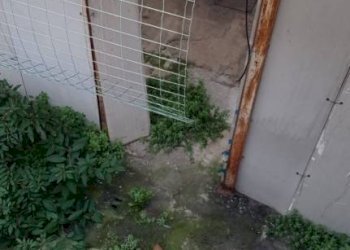 Terreno - Capannone via della Resistenza, Peschiera Borromeo - foto 3
